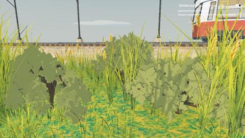 Two groups of olive-green shrubs with dark branching stems sit in tall grass beside the tram tracks; part of the yellow and red tram is visible behind them.